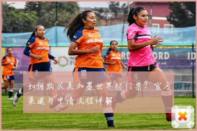 如何购买美加墨世界杯门票？官方渠道与申请流程详解