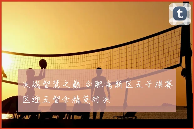决战智慧之巅 合肥高新区五子棋赛区迎五智会精英对决
